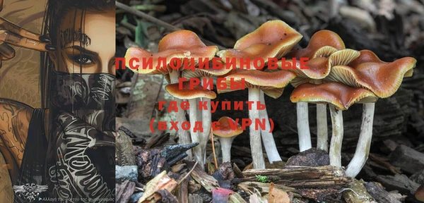 spice Алзамай