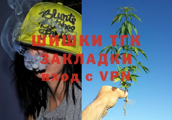 spice Алзамай