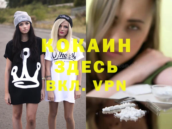 spice Алзамай