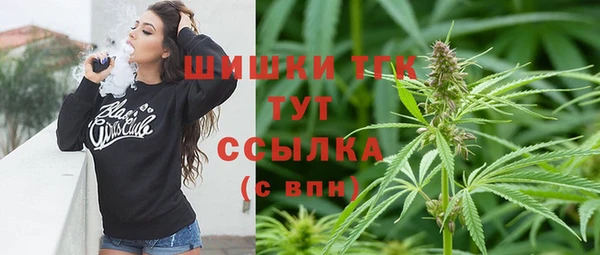 spice Алзамай